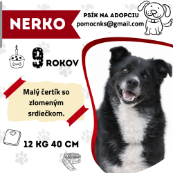 NERKO