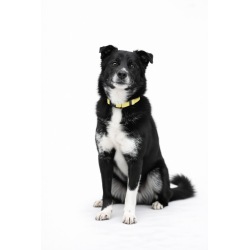 NERKO