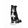 NERKO