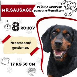 Mr. SAUSAGE