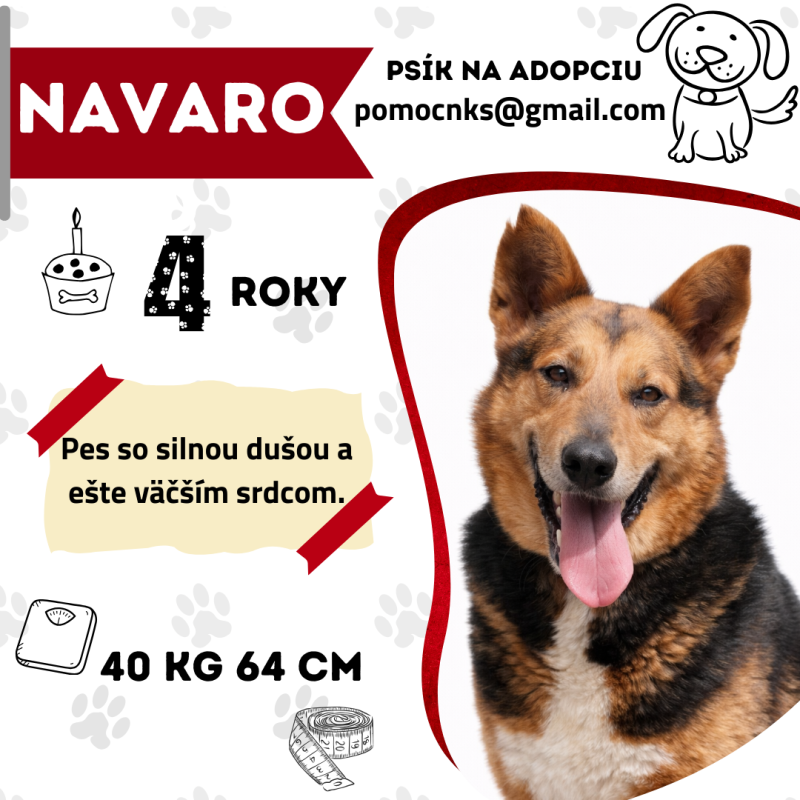 NAVARO