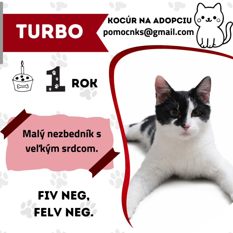 TURBO