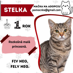 STELKA