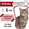 STELKA