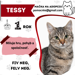 TESSY