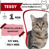 TESSY
