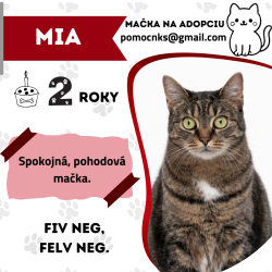 MIA