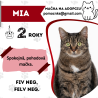 MIA