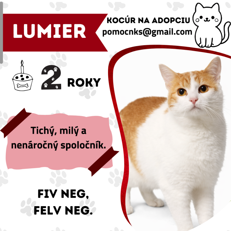 LUMIER