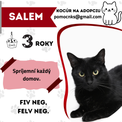 SALEM