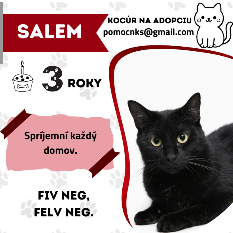 SALEM