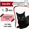 SALEM