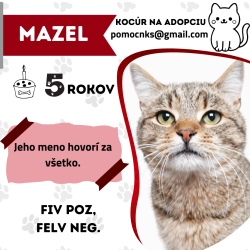 MAZEL