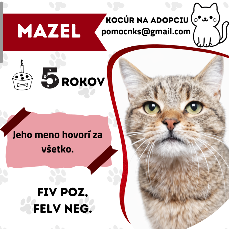 MAZEL