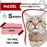 MAZEL