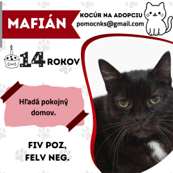 MAFIÁN