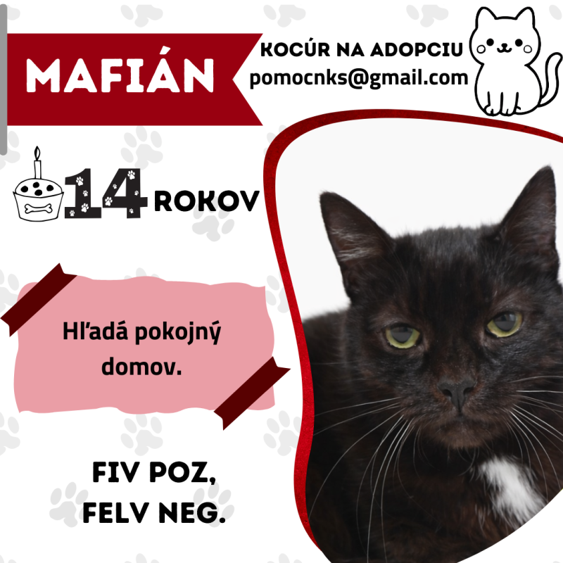 MAFIÁN