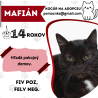 MAFIÁN
