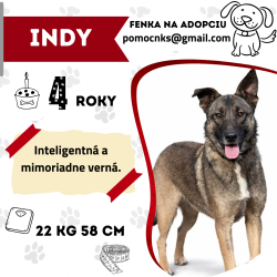 INDY