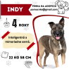 INDY