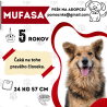 MUFASA