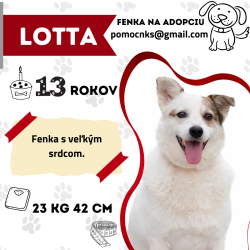 LOTTA