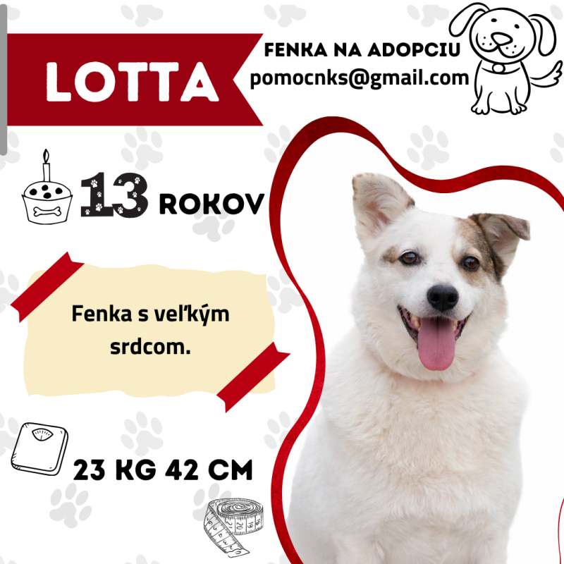 LOTTA