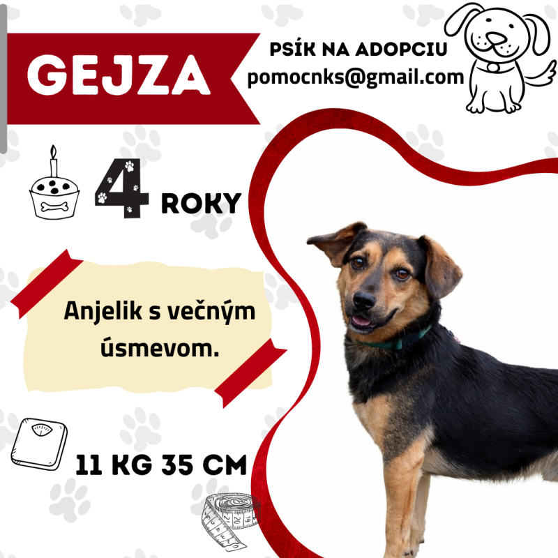 GEJZA