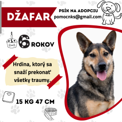 DŽAFAR