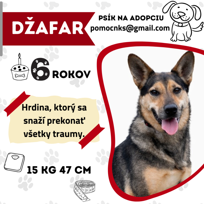 DŽAFAR