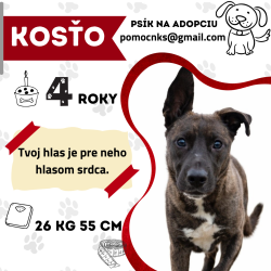 KOSŤO