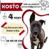 KOSŤO