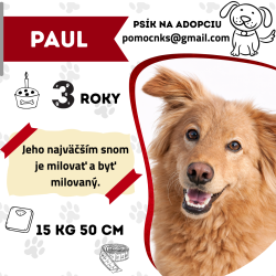 PAUL