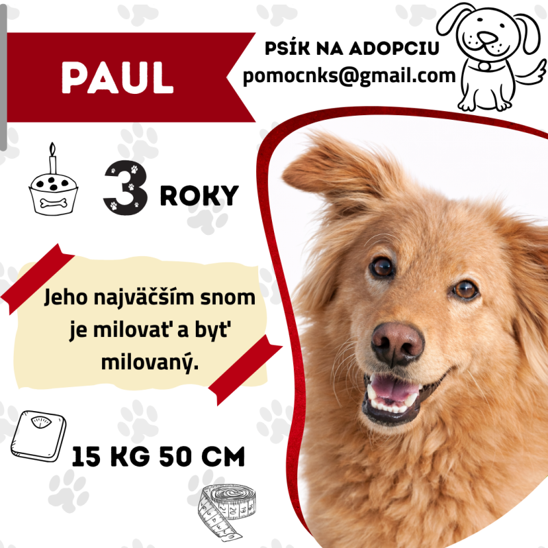 PAUL