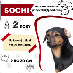 SOCHI