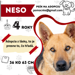 NESO