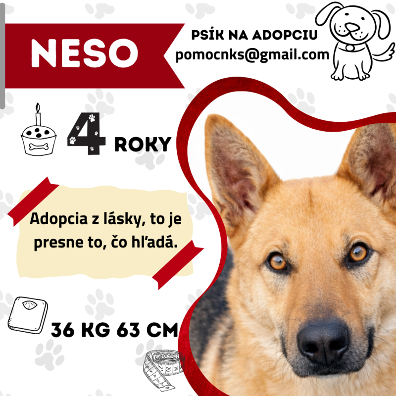 NESO