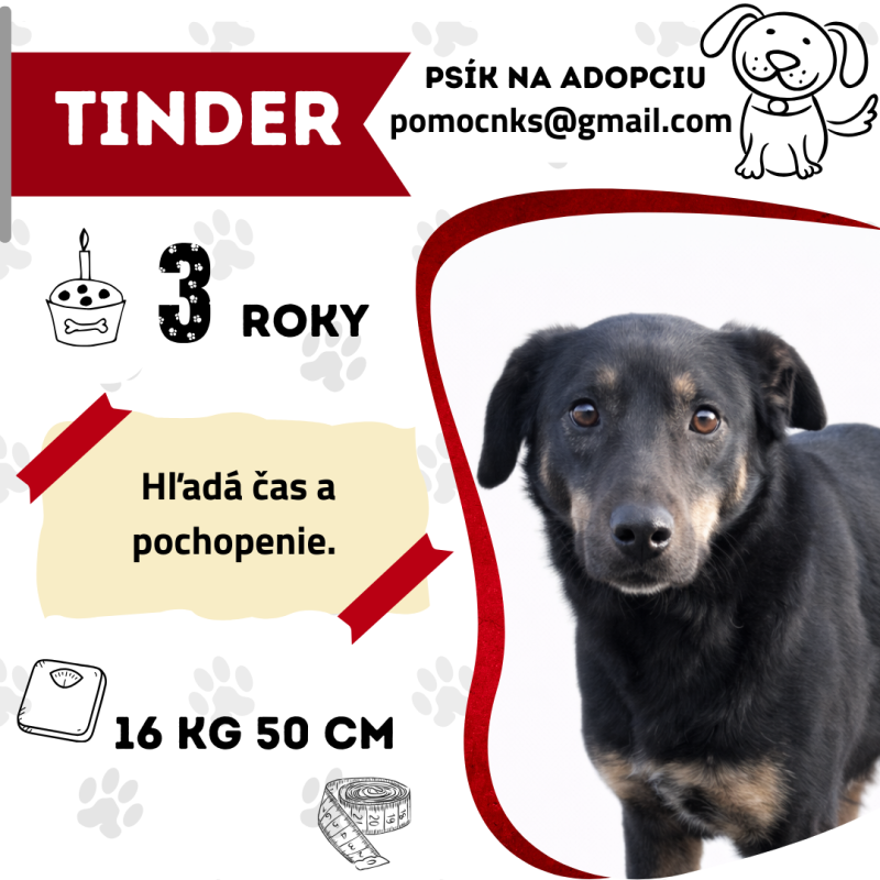 TINDER