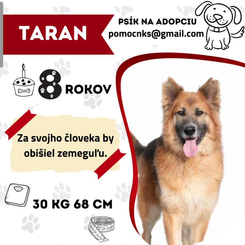 TARAN