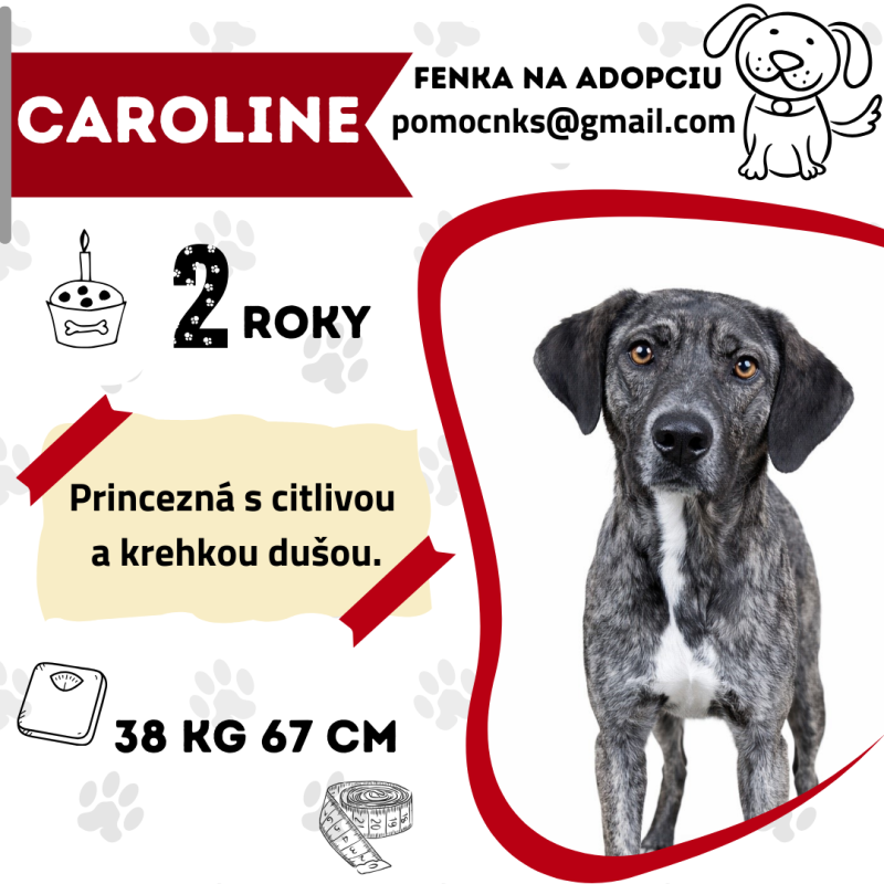 CAROLINE