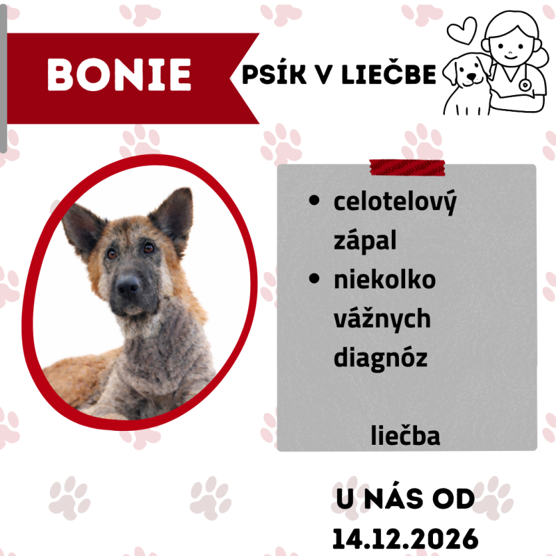 BONIE