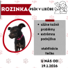 ROZINKA