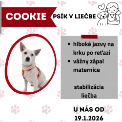 COOKIE