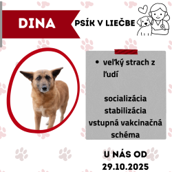DINA