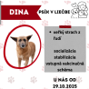DINA