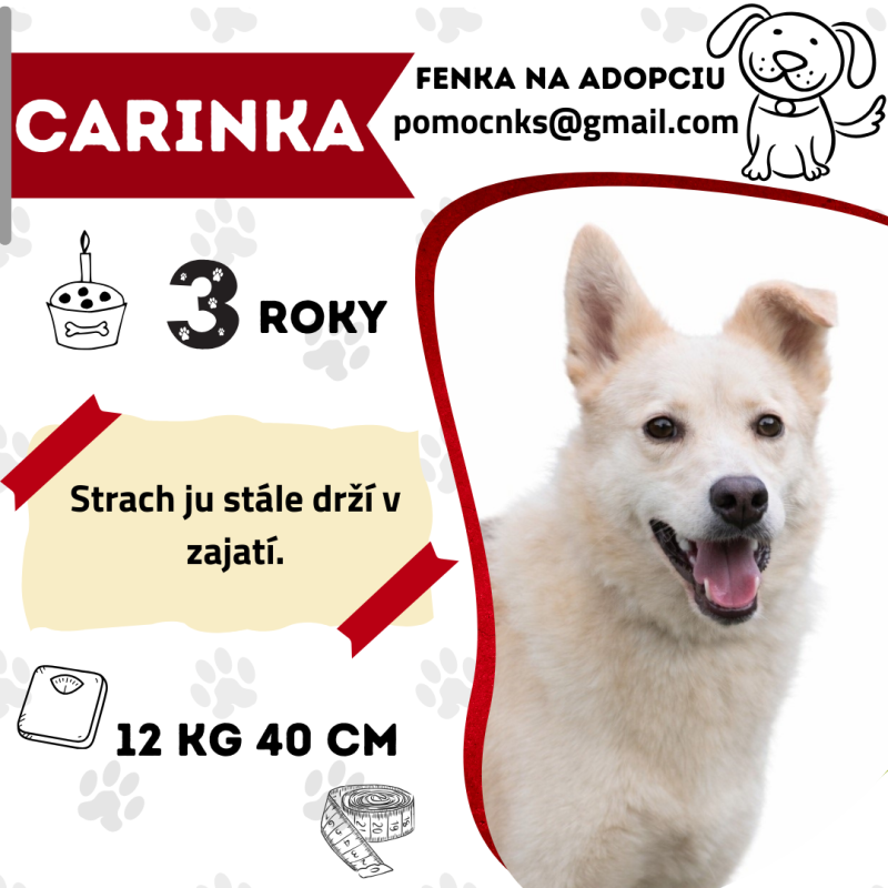 CARINKA