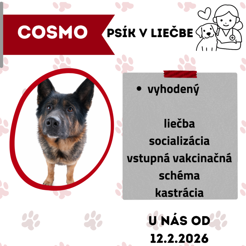 COSMO