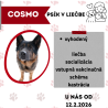 COSMO
