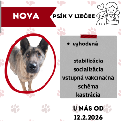 NOVA