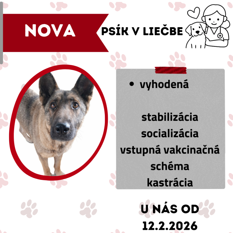 NOVA